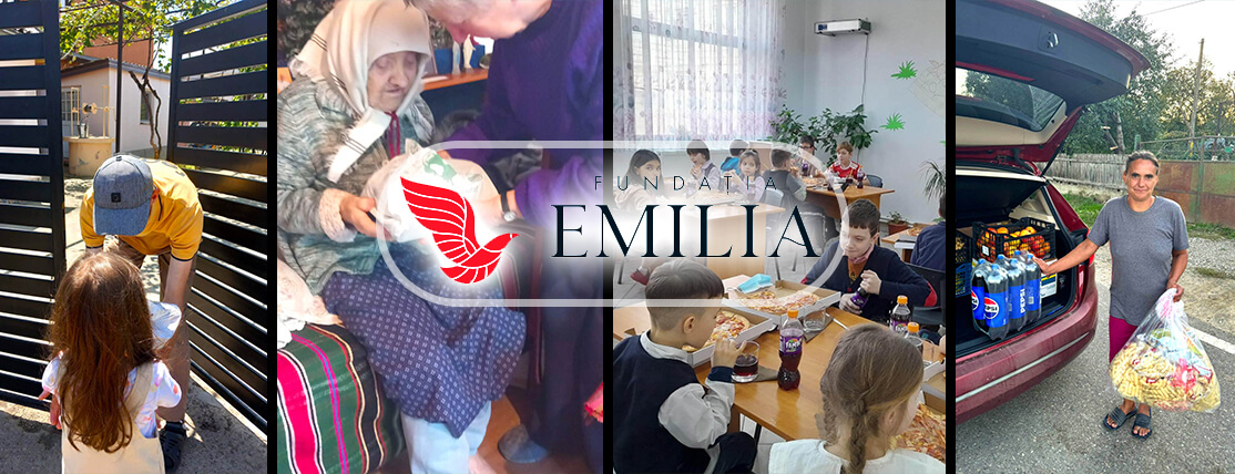 Emilia Foundation Image